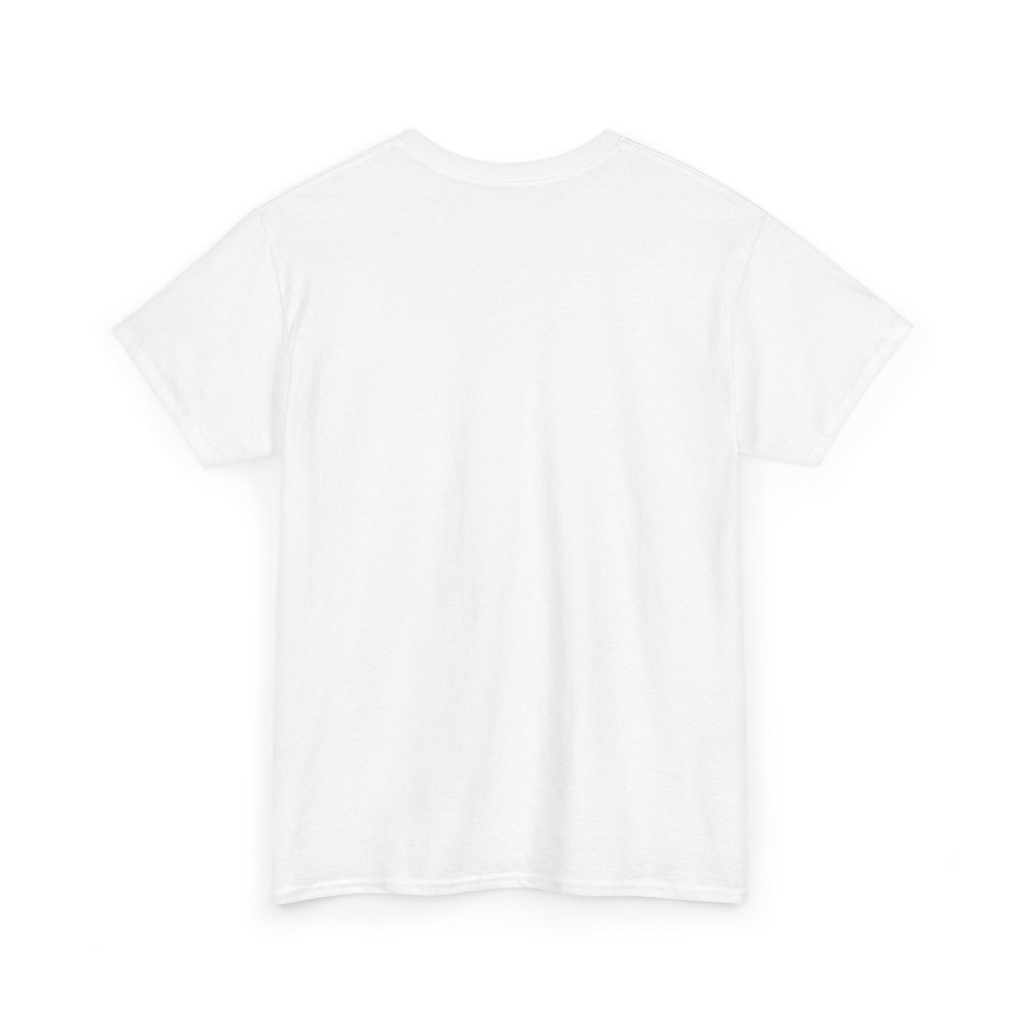 T-shirt SAQARTVELO/საქართველო, Geogian T-shirt with Georgian Flag